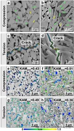 北京工業(yè)大學(xué)研究揭示硬質(zhì)相晶粒形態(tài)對應(yīng)力應(yīng)變分布和力學(xué)性能的關(guān)鍵影響